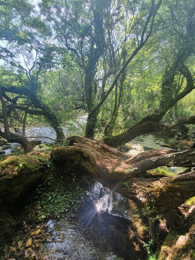 Plitvička Jezera Timber Valley מראה חיצוני תמונה